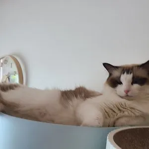 베스트 후기 이미지