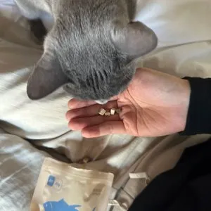 베스트 후기 이미지