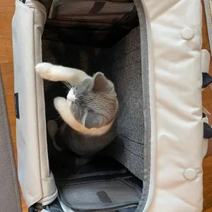 베스트 후기 이미지