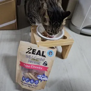 베스트 후기 이미지