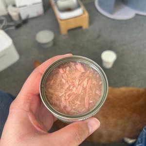 베스트 후기 이미지