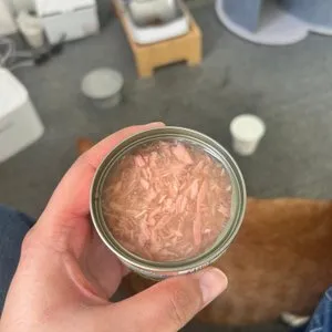 베스트 후기 이미지