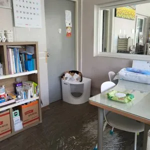 베스트 후기 이미지