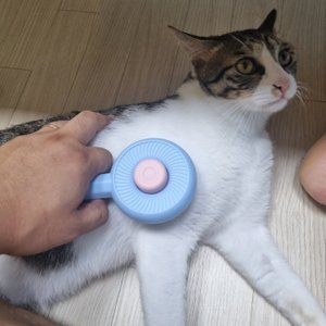 베스트 후기 이미지