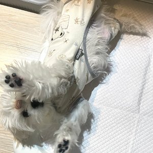 베스트 후기 이미지
