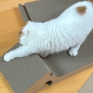 베스트 후기 이미지