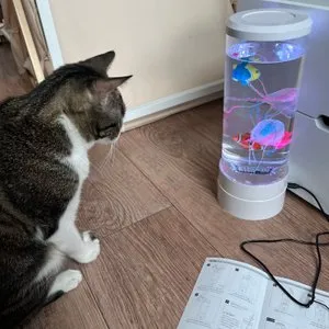 베스트 후기 이미지