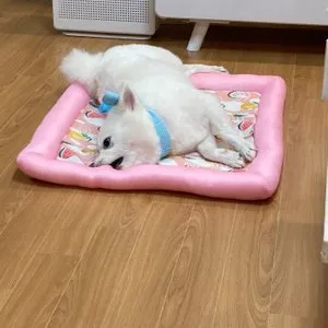 베스트 후기 이미지