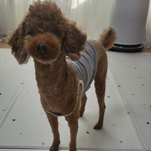 베스트 후기 이미지