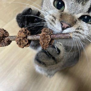 베스트 후기 이미지