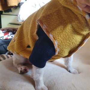 베스트 후기 이미지
