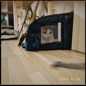 베스트 후기 이미지