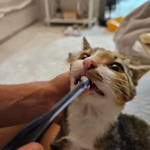 베스트 후기 이미지