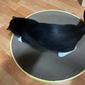 베스트 후기 이미지