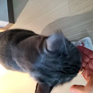 베스트 후기 이미지