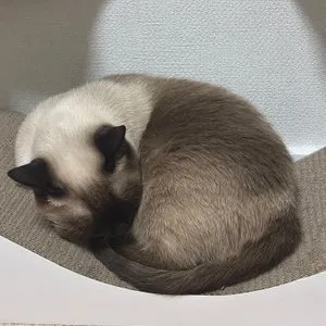 베스트 후기 이미지