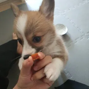 베스트 후기 이미지