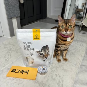 베스트 후기 이미지