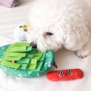 베스트 후기 이미지