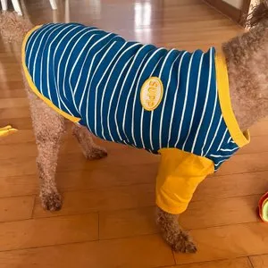 베스트 후기 이미지