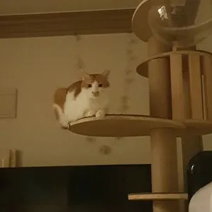 베스트 후기 이미지