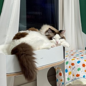 베스트 후기 이미지