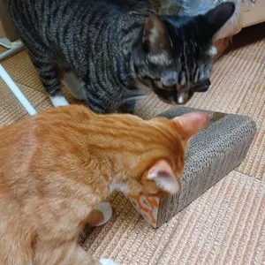 베스트 후기 이미지