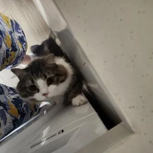 베스트 후기 이미지