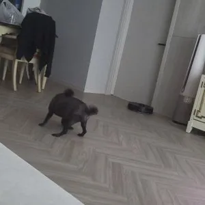 베스트 후기 이미지