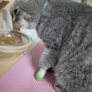 베스트 후기 이미지