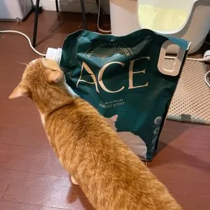 베스트 후기 이미지