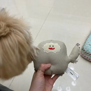 피단 리틀몬스터 강아지 인형 해피몽키 베스트 후기 이미지