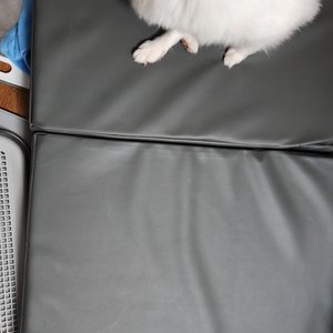 베스트 후기 이미지