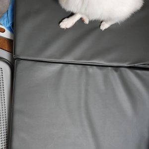 그레이독 프리미엄 아웃도어 폴딩 레더 매트 베스트 후기 이미지