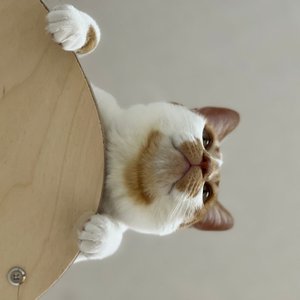 베스트 후기 이미지