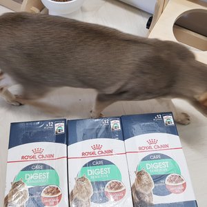 베스트 후기 이미지