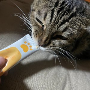 베스트 후기 이미지