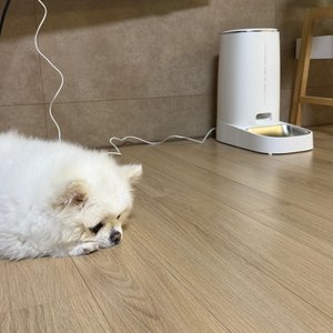 베스트 후기 이미지