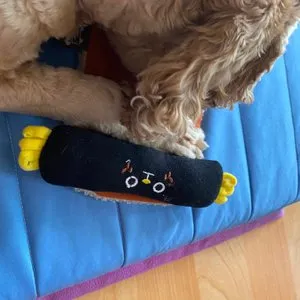 베스트 후기 이미지