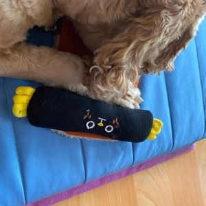 7번버스 분식점 김말이튀김 베스트 후기 이미지