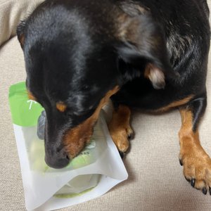 베스트 후기 이미지