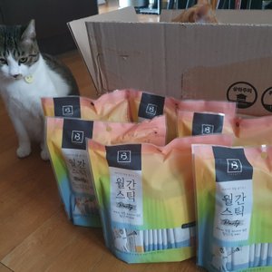 베스트 후기 이미지