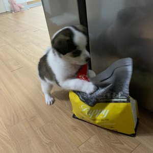 베스트 후기 이미지