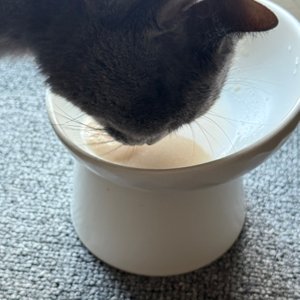 베스트 후기 이미지