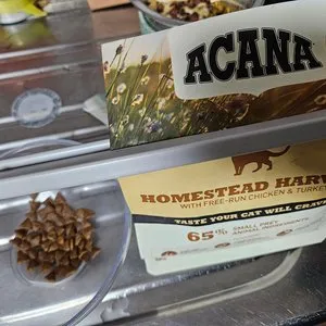 베스트 후기 이미지