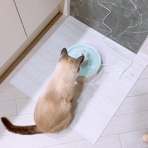 베스트 후기 이미지
