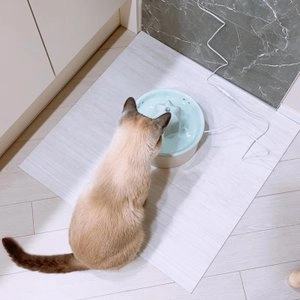 프로젝트21 선인장 정수기 젠에디션 베스트 후기 이미지