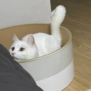 베스트 후기 이미지