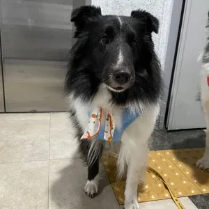 베스트 후기 이미지