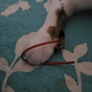 베스트 후기 이미지